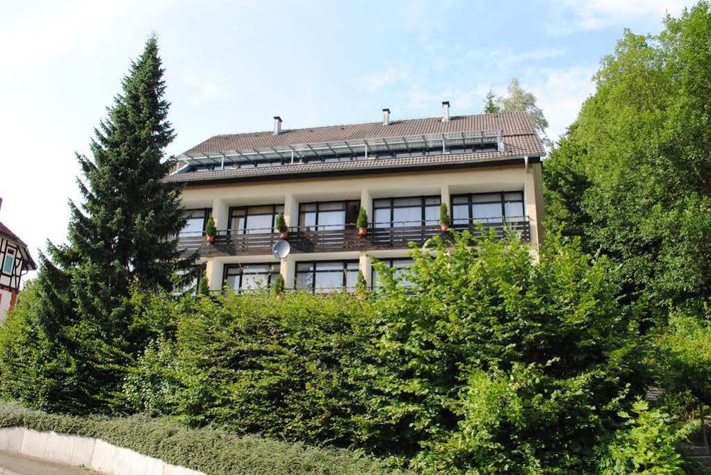 Panorama Hotel Pension Frohnau バート・ザクサ エクステリア 写真